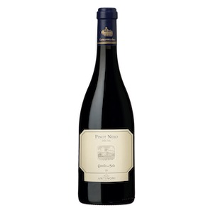 Umbria IGP “della Sala” Pinot Nero 