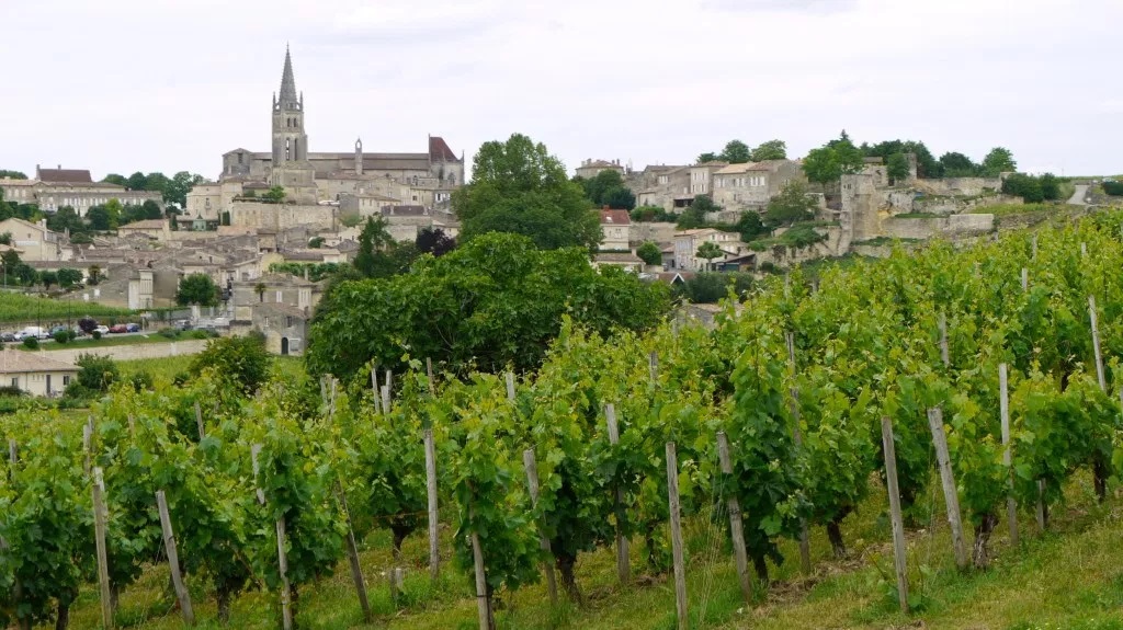 Read more about Pauillac AOC