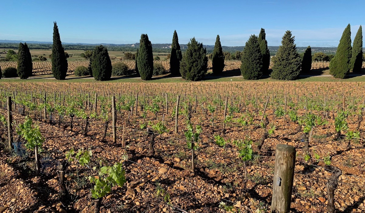 Read more about Châteauneuf-du-Pape AOC