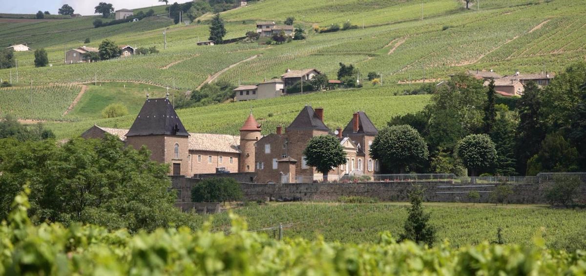 Read more about Beaujolais