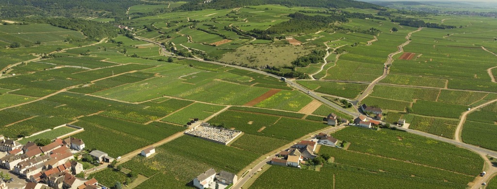 Read more about Chassagne-Montrachet AOC