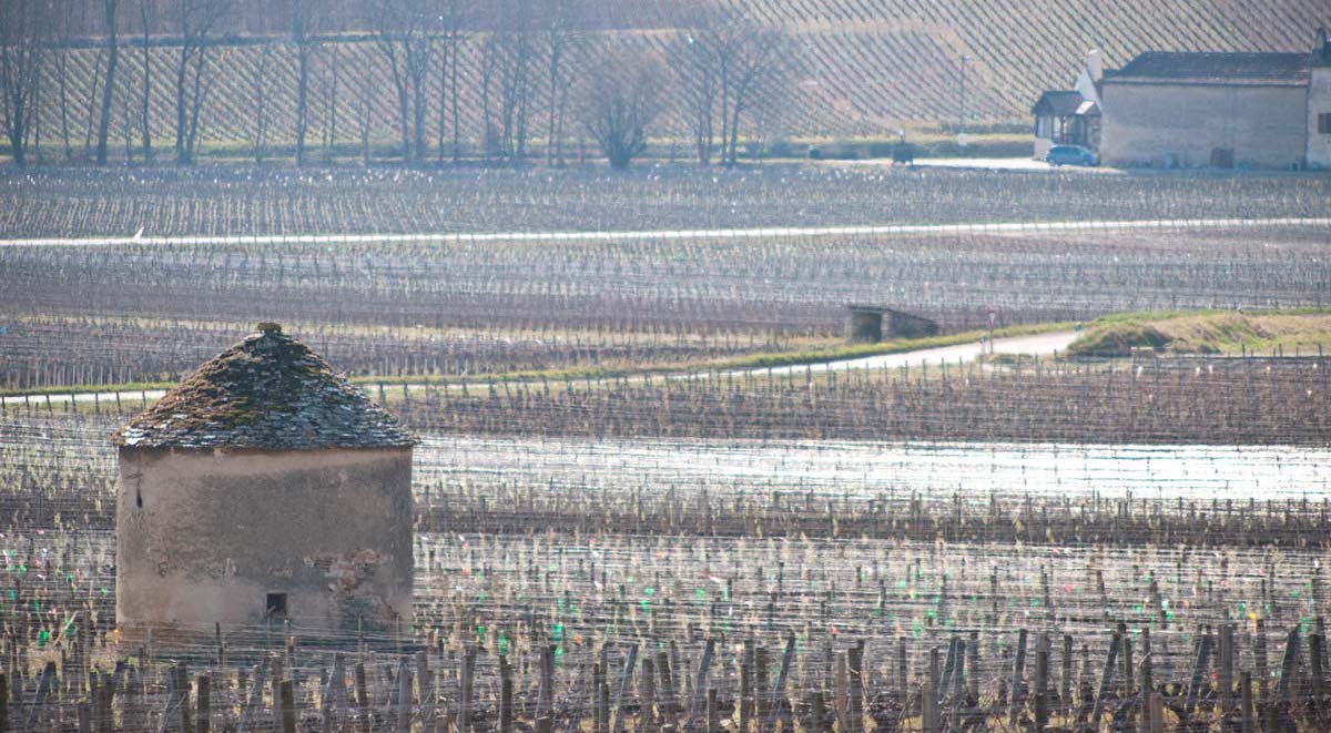 Read more about Savigny-Lès-Beaune AOC