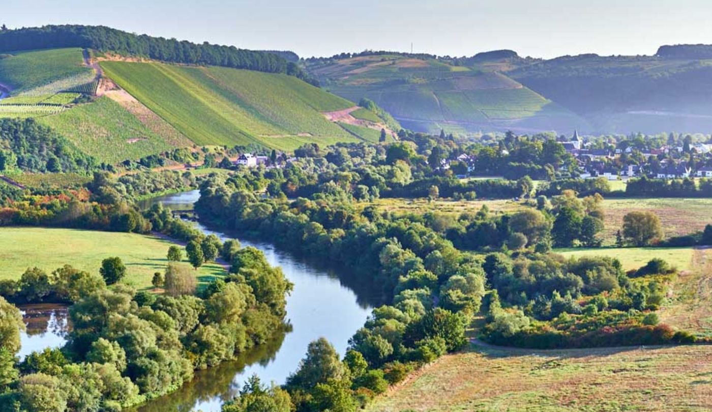 Altenberg wines