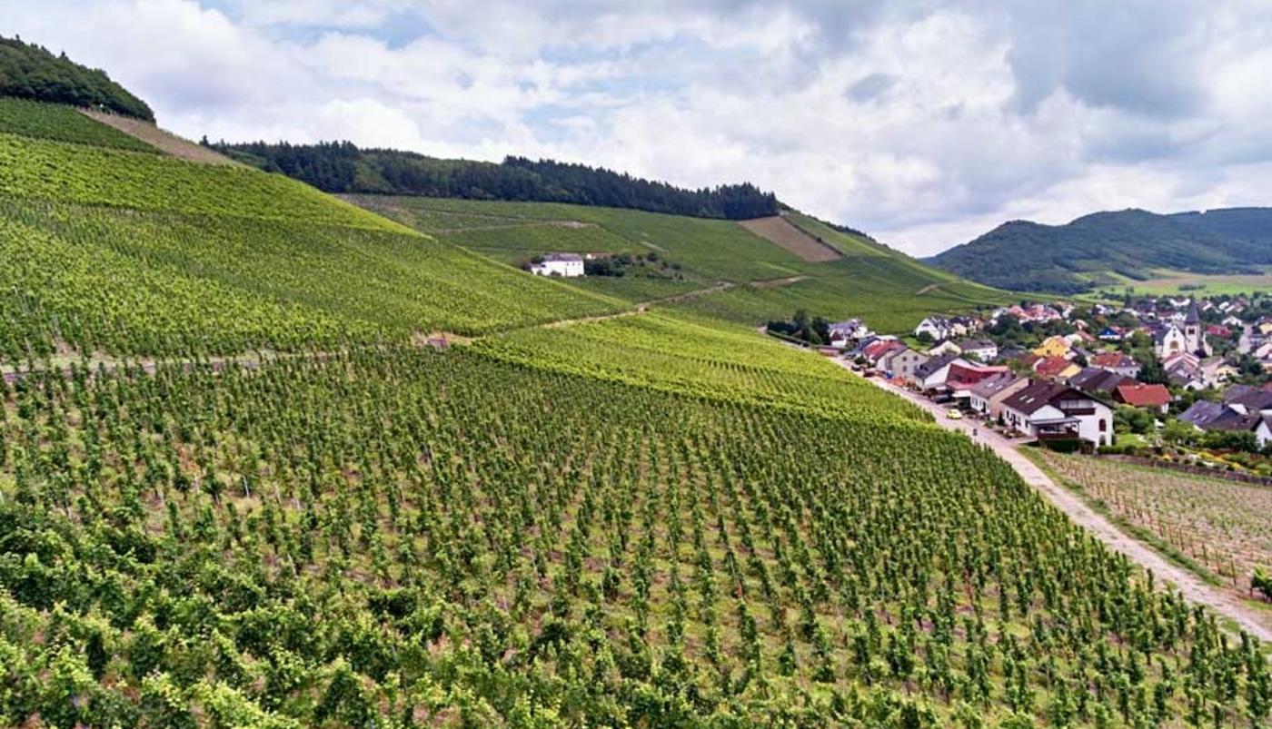 Bockstein wines