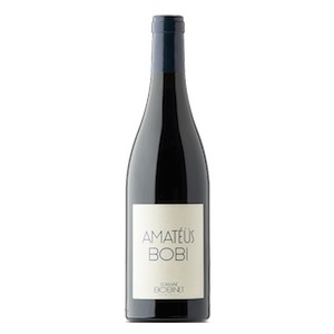 Saumur-Champigny AOC 'Amateus Bobi' by Domaine Bobinet