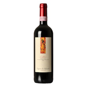 Barbera d’Asti DOCG Superiore  'Galileo' by Vigne dei Mastri