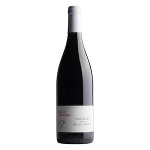 Santenay AOC Premier Cru  Clos des Mouches  by David Moreau