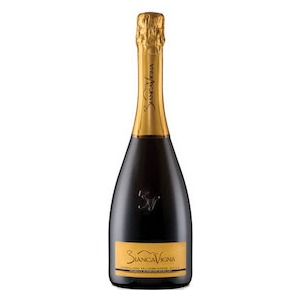 Conegliano Valdobbiadene Prosecco DOCG Extra Dry  Superiore  by Biancavigna