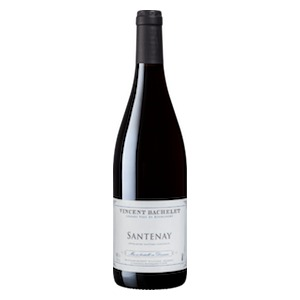 Santenay AOC by Domaine Bachelet Vincent