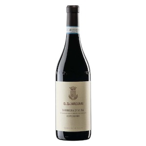 Barbera d’Alba DOC Superiore  by GD Vajra