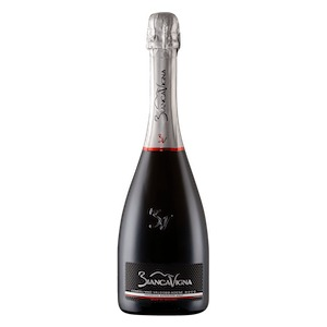 Conegliano Valdobbiadene Prosecco DOCG Soligo  Extra Brut  by Biancavigna