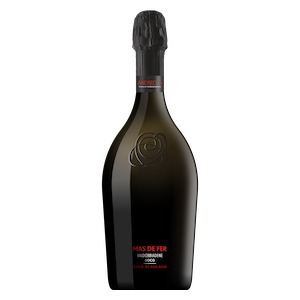 Conegliano Valdobbiadene Prosecco DOCG Extra Dry  Soligo  'Mas De Fer' by Andreola