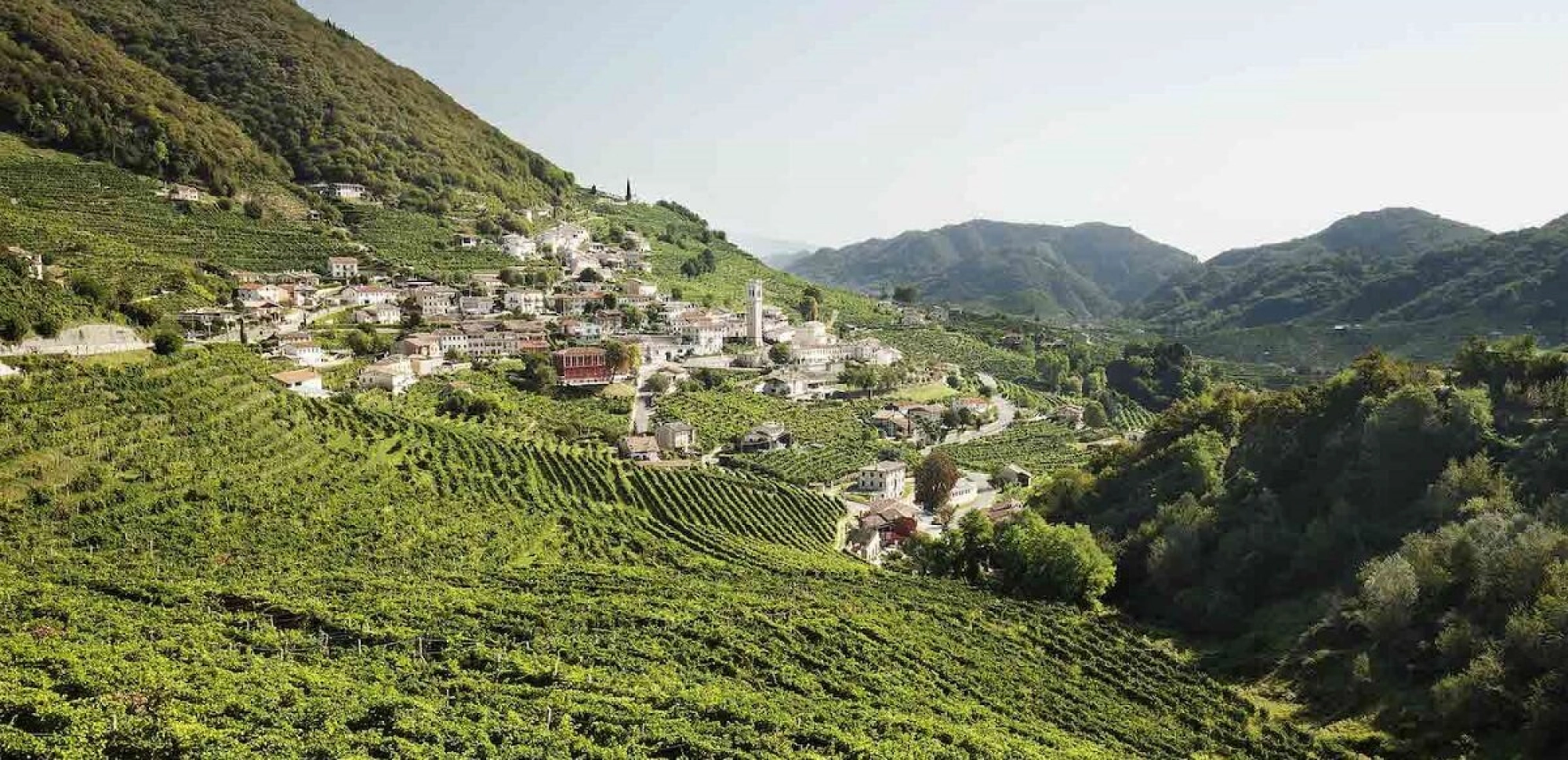 Conegliano Valdobbiadene Prosecco Superiore DOCG: The Rive