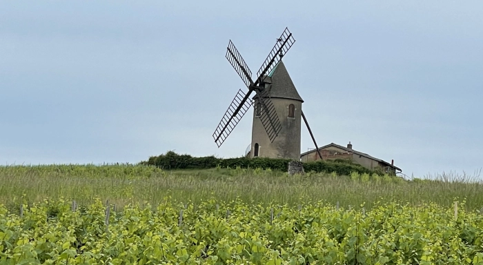 100 years of Moulin-a-Vent and its pursuit of Premier Crus