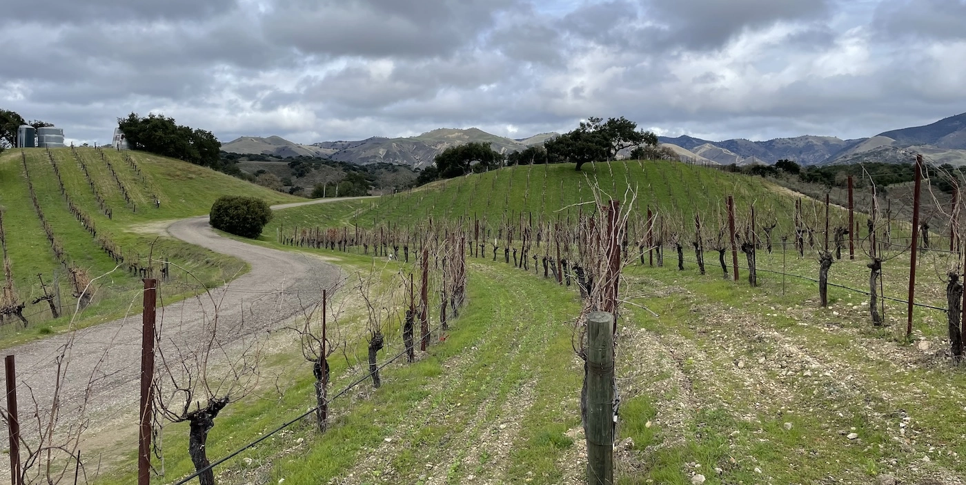 The Wines of the Santa Ynez Valley