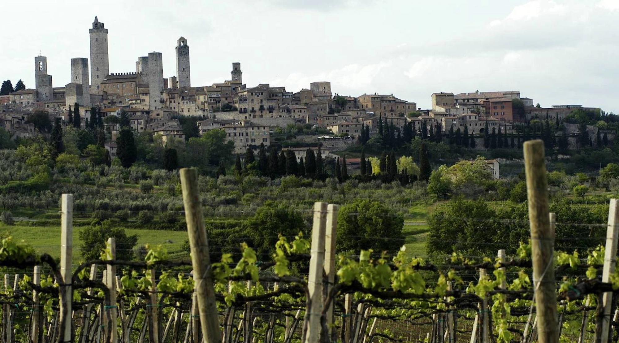 Vernaccia di San Gimignano has turned the corner