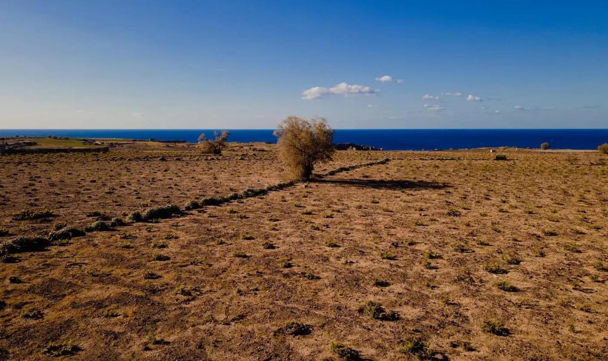 Not Enough Water: What Is The Future Of Santorini’s Wines?