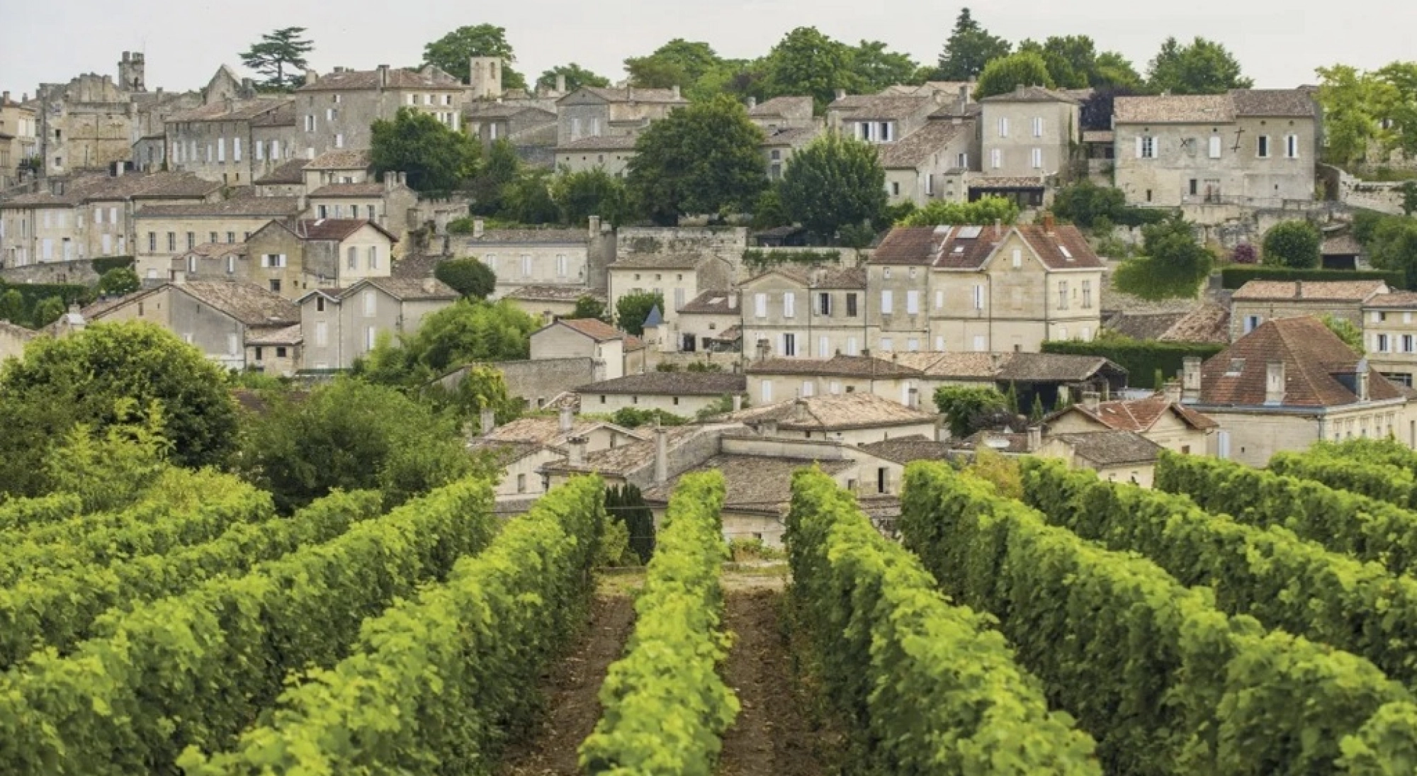 Bordeaux