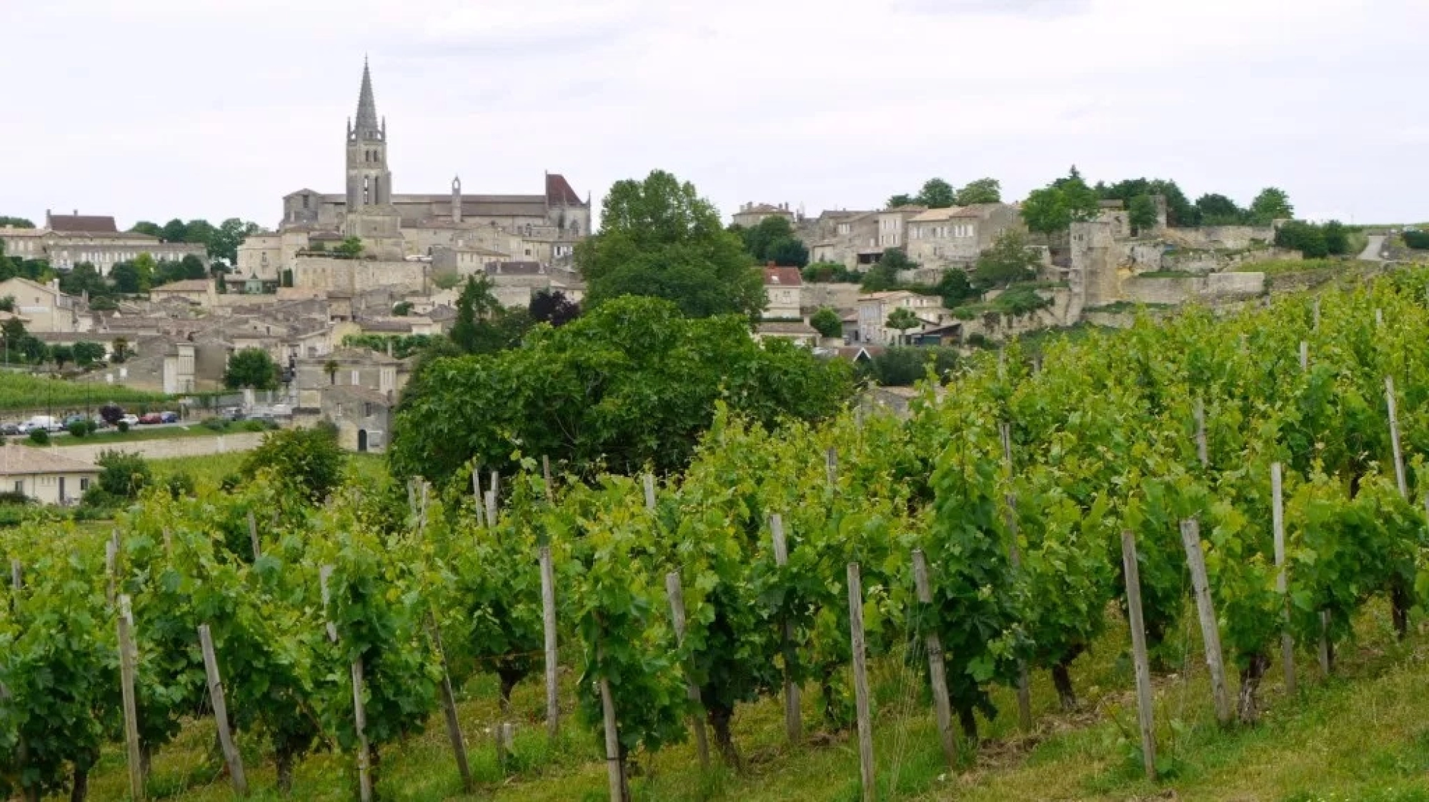 Pauillac