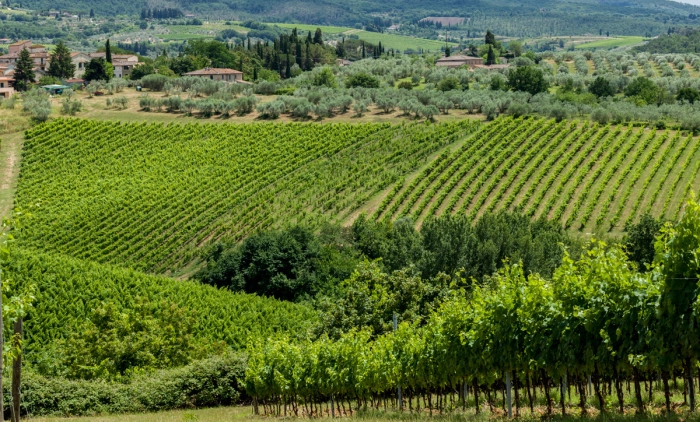 Read more about Tuscany