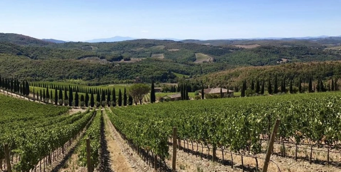 Read more about Chianti Classico