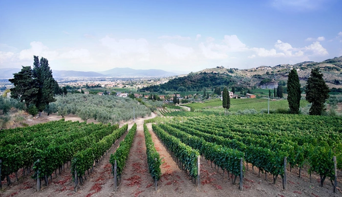 Read more about Carmignano