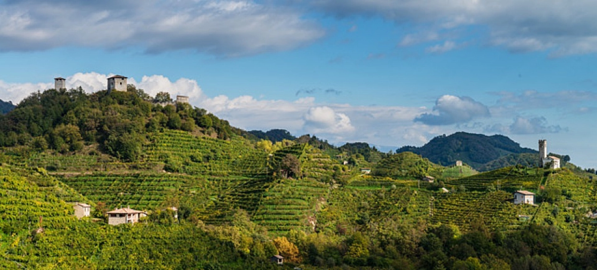 Conegliano Valdobbiadene Prosecco