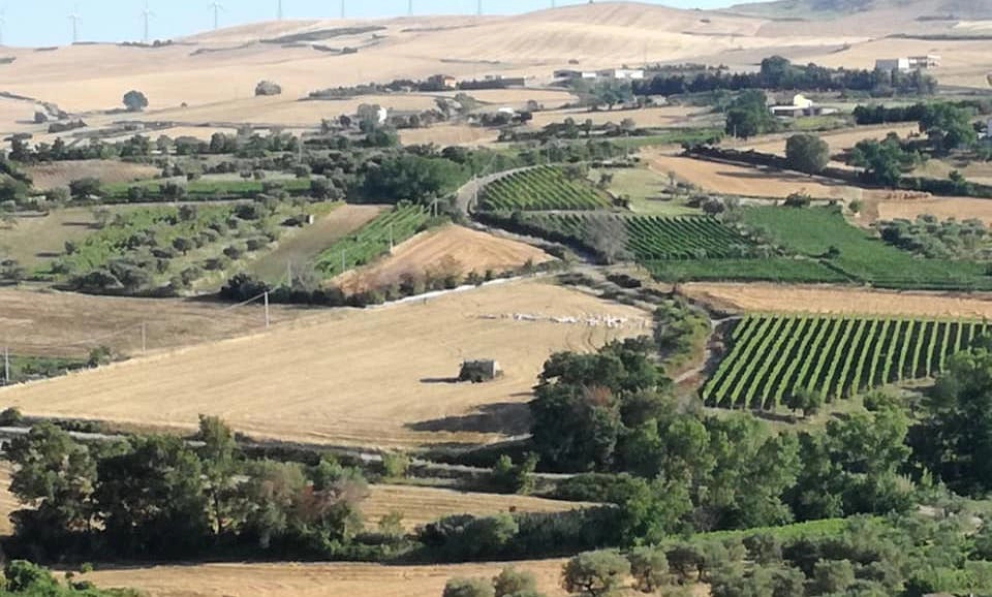 Basilicata