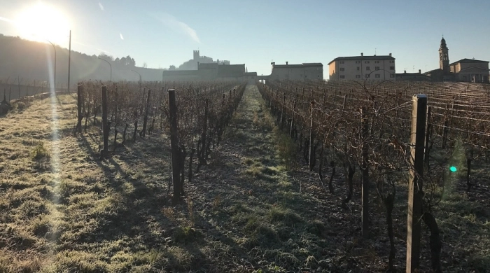 Read more about Soave