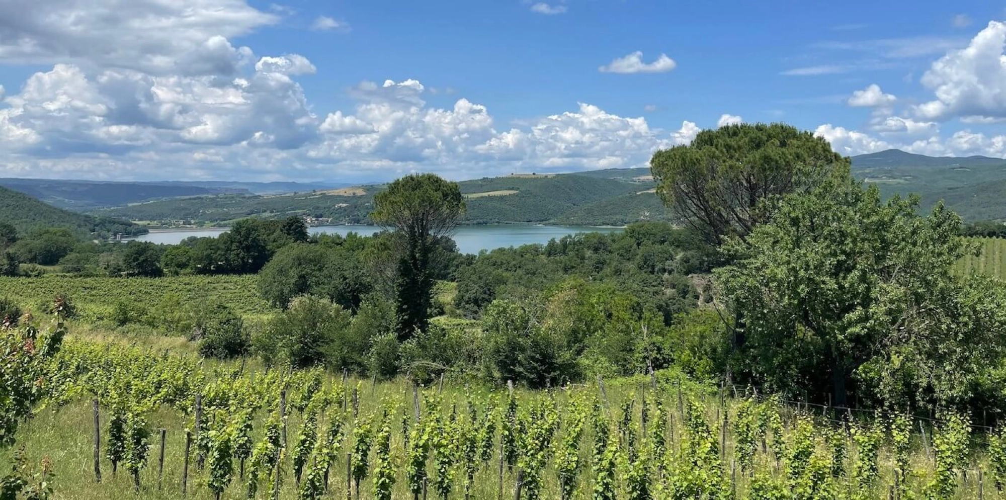 Lago di Corbara