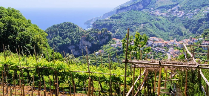 Read more about Campania