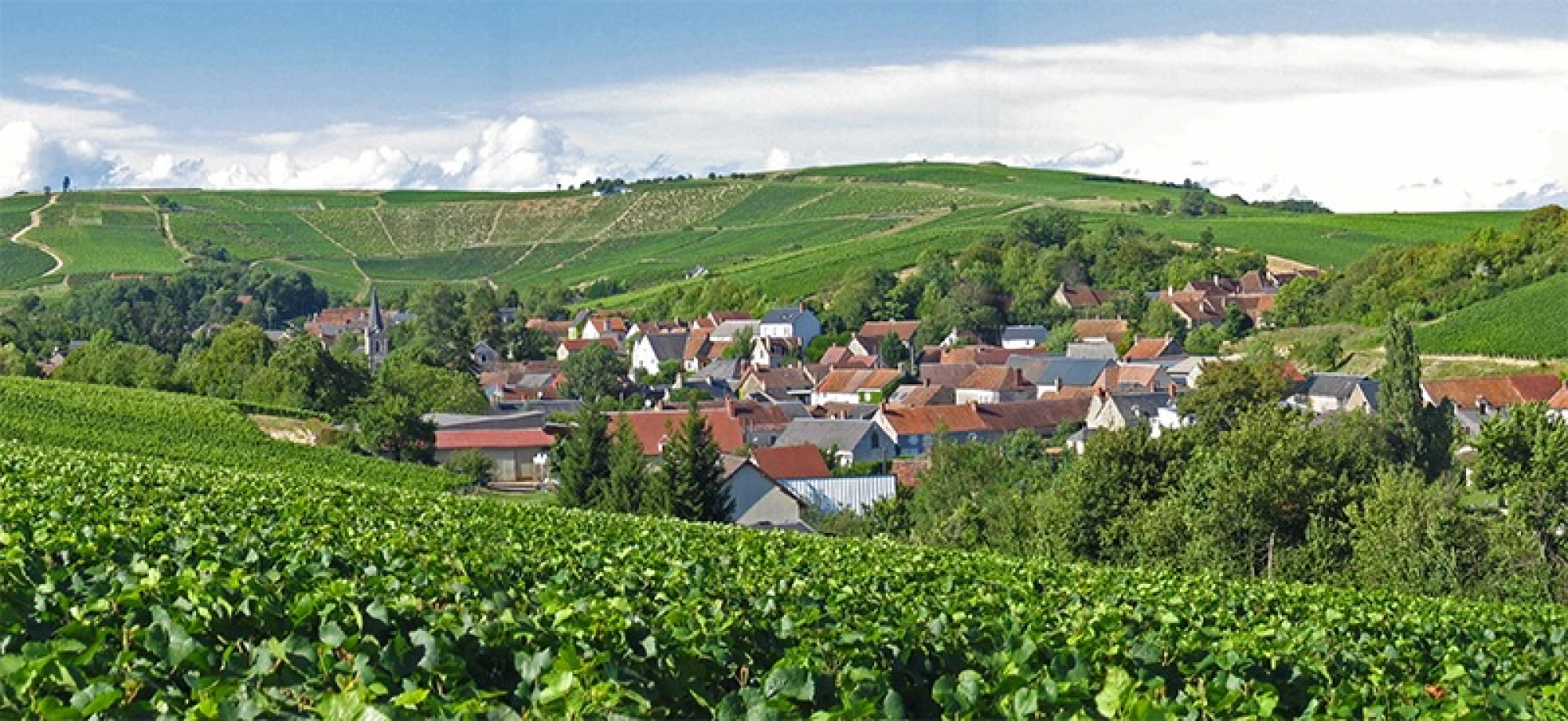 Sancerre