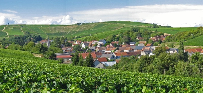 Read more about Sancerre