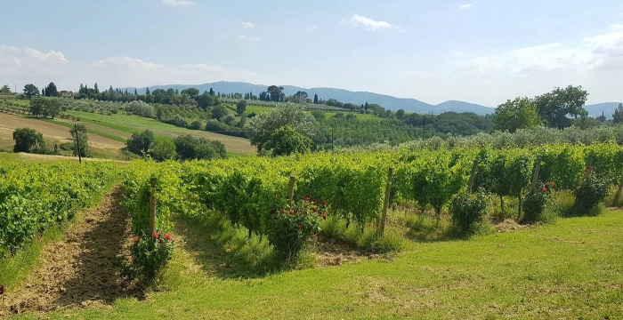 Read more about Umbria