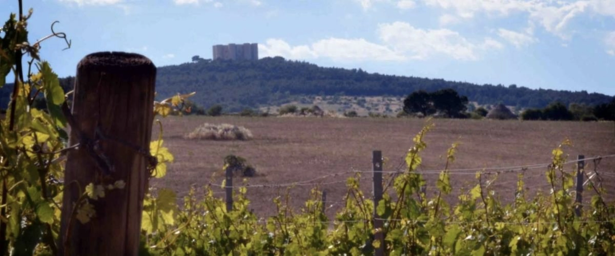 Castel del Monte