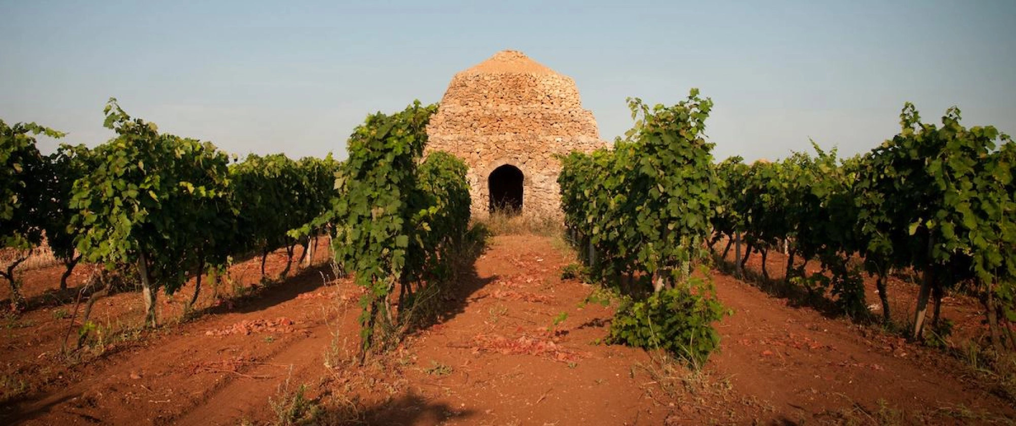 Primitivo di Manduria Dolce Naturale