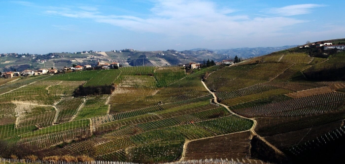 Read more about Barbera d’Asti