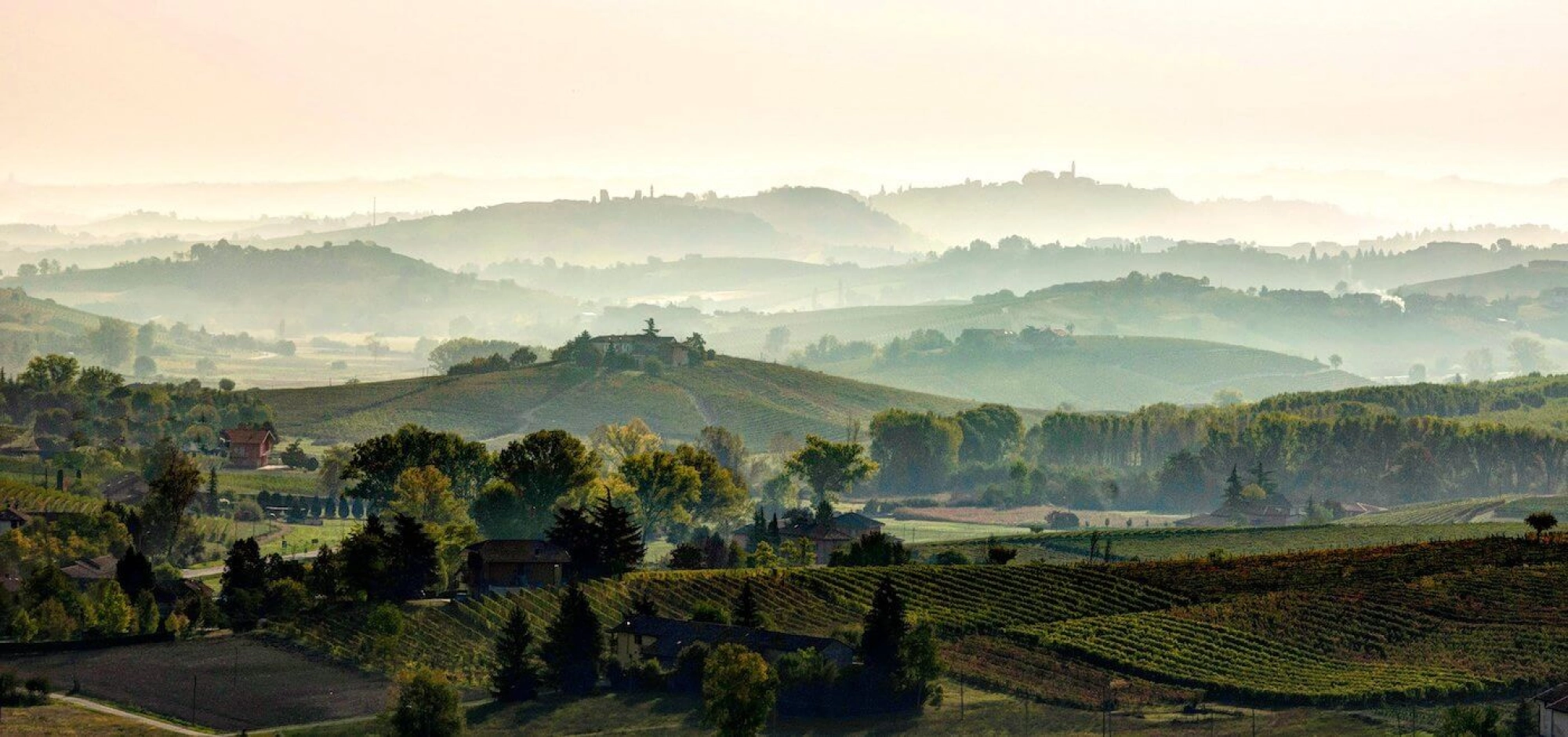 Barbera del Monferrato