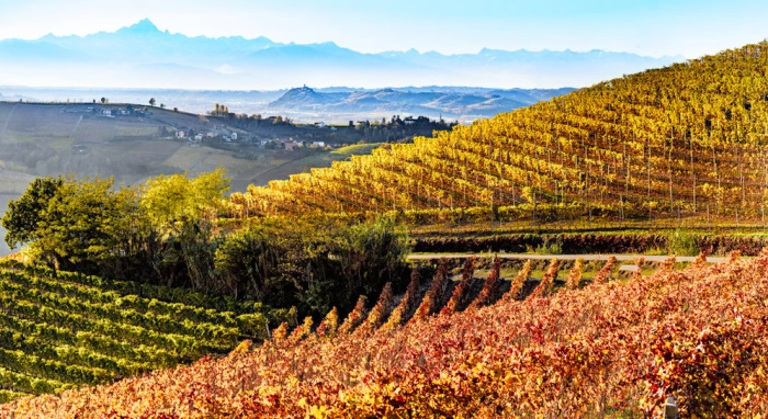 Read more about Langhe