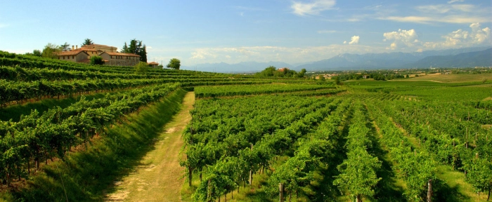 Read more about Friuli-Venezia Giulia