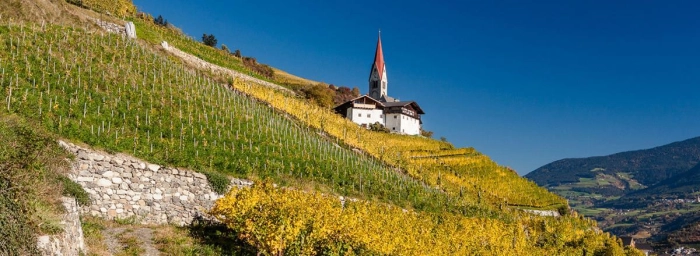 Read more about Alto Adige / Südtirol