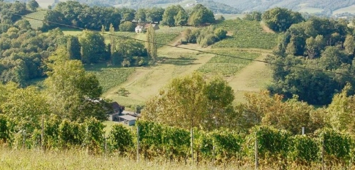 Read more about Béarn