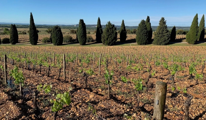 Read more about Châteauneuf-du-Pape