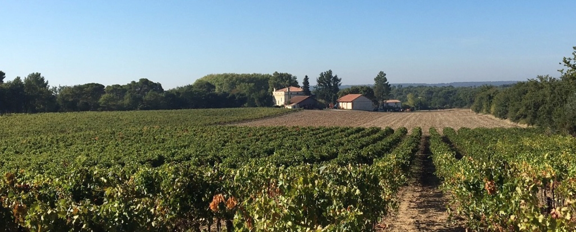 Coteaux d'Aix-en-Provence