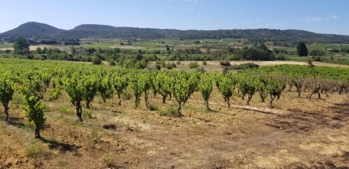 Read more about Corbières