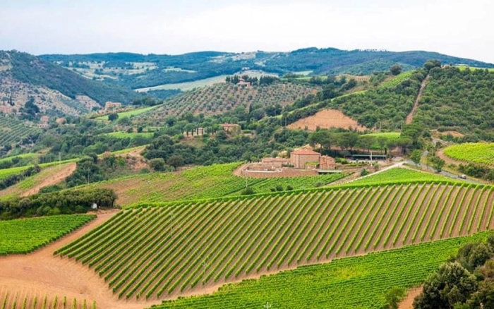 Read more about Valpolicella Ripasso