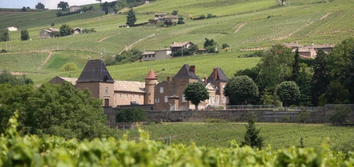 Read more about Beaujolais