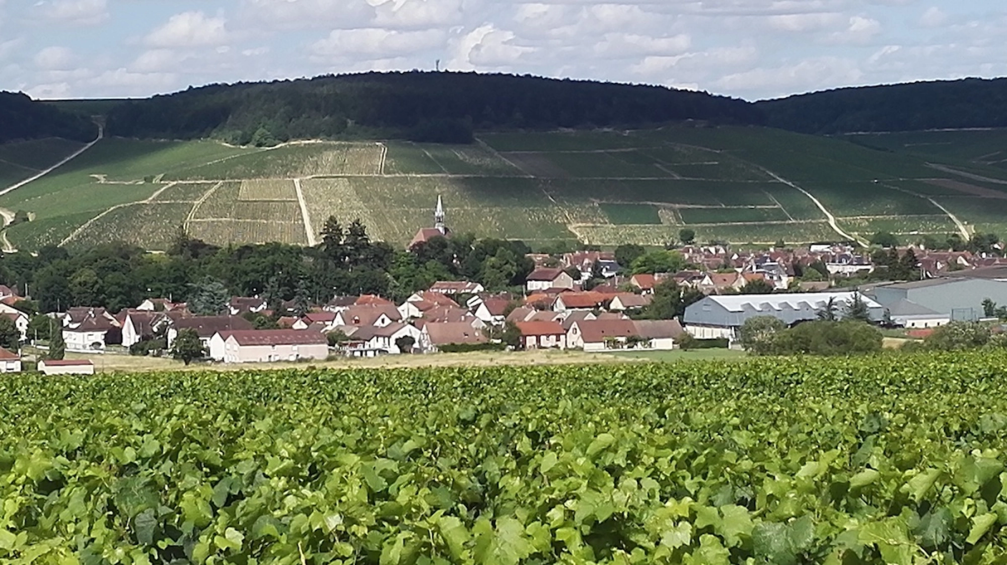 Chablis