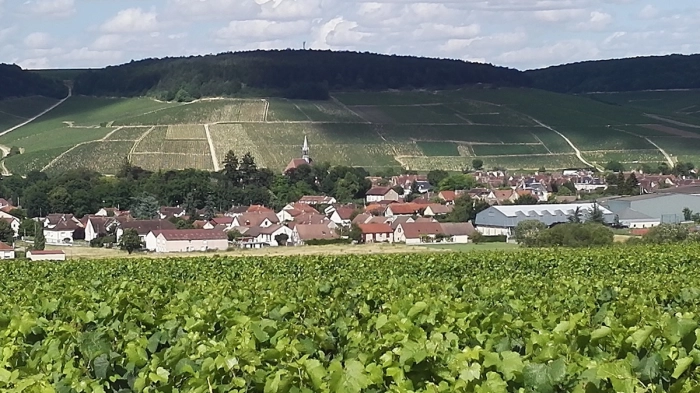 Read more about Chablis