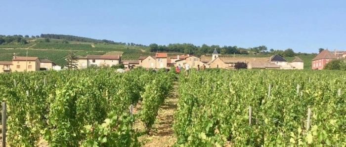 Read more about Pouilly-Fuissé